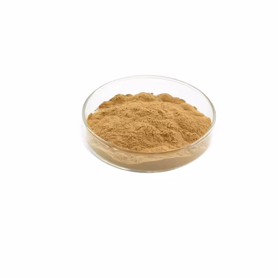 Provide High Quality Research Reagent Methyl-Beta-Cyclodextrin CAS 128446-36-6