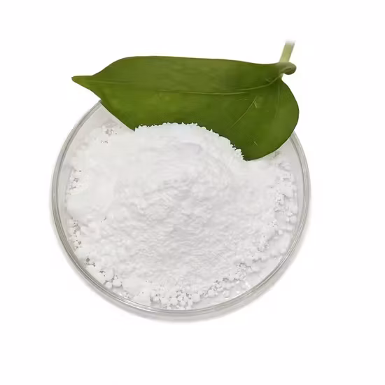 Manufacturer Supply High Quality Gamma-Cyclodextrin CAS No. 17465-86-0